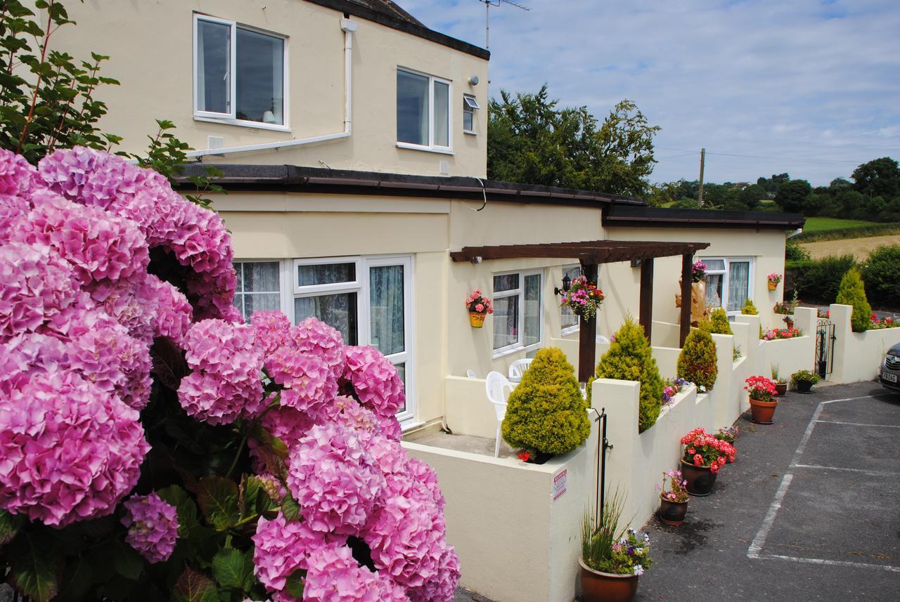 Huccaby Tor Apartmernt Torquay Bagian luar foto