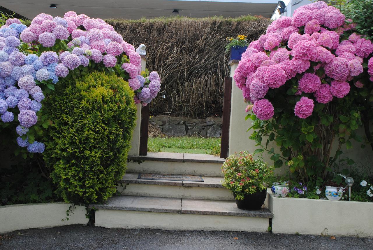 Huccaby Tor Apartmernt Torquay Bagian luar foto